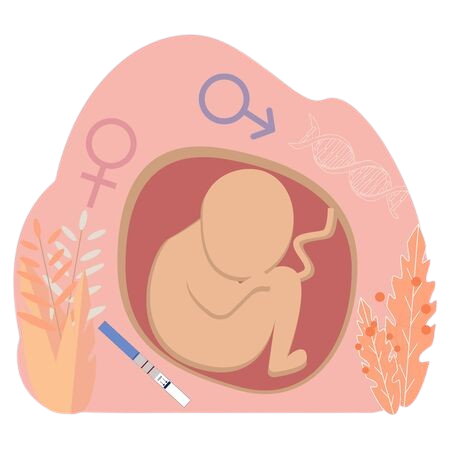 Gyne Disorders